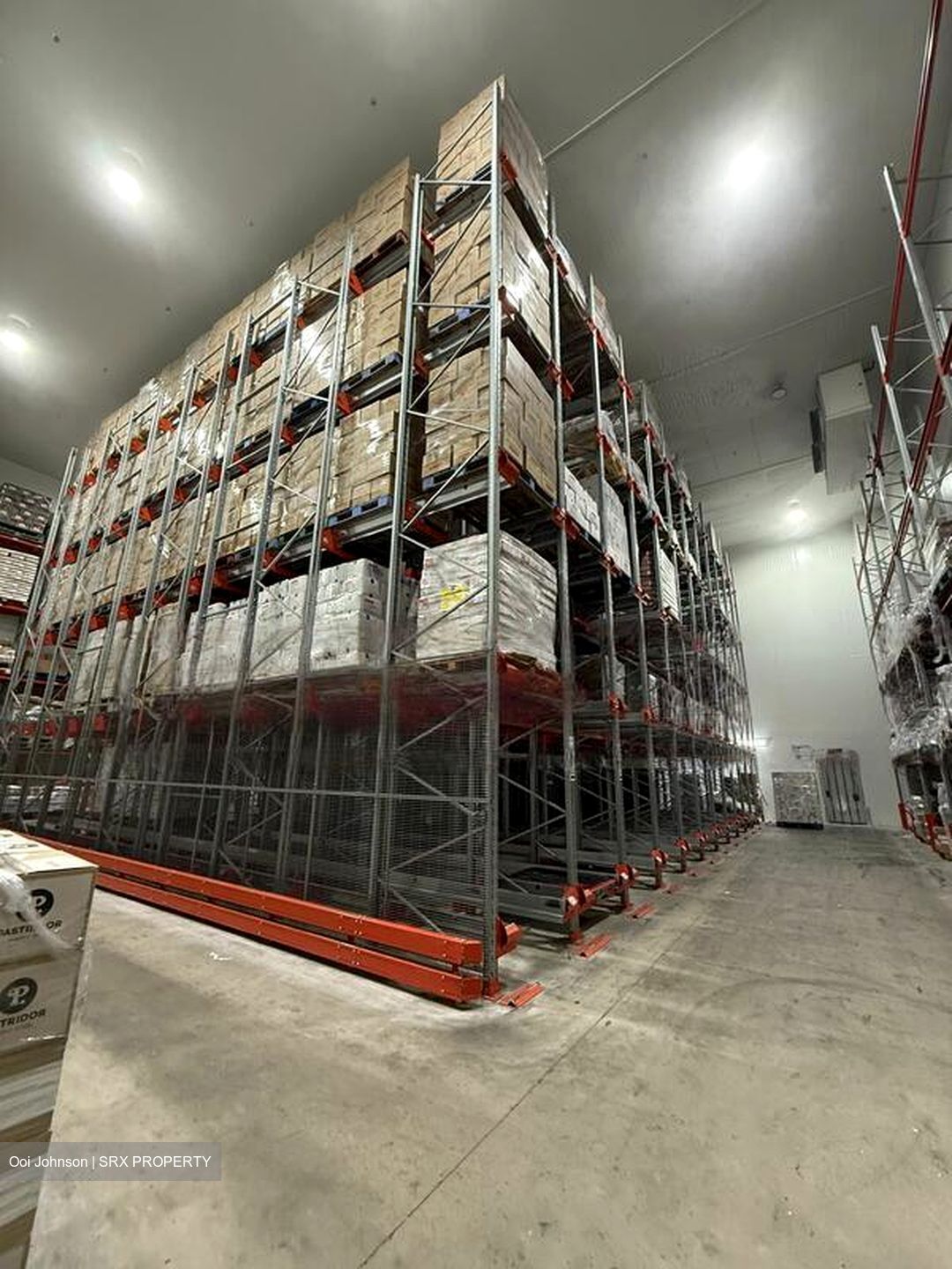LINER (D22), Warehouse #475690601